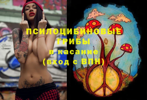 PSILOCYBIN Арсеньев