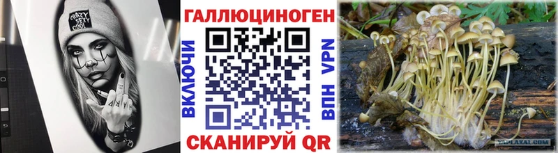 Галлюциногенные грибы Magic Shrooms  Оха 
